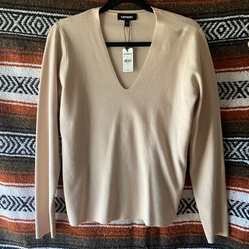 Express NWT sweater soft nude color